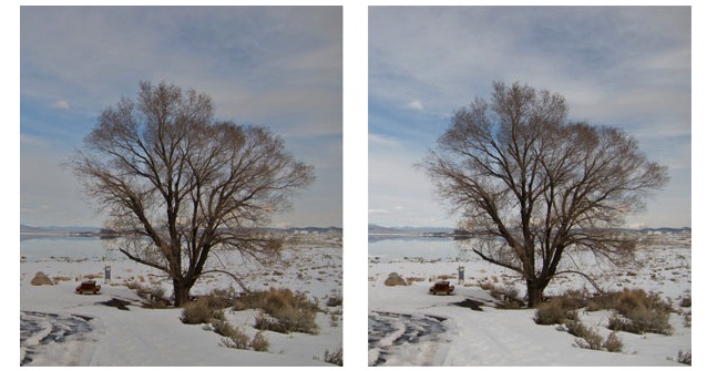 iPhoto.jpg Iphoto
