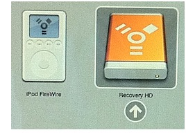 Recovery HD Lion