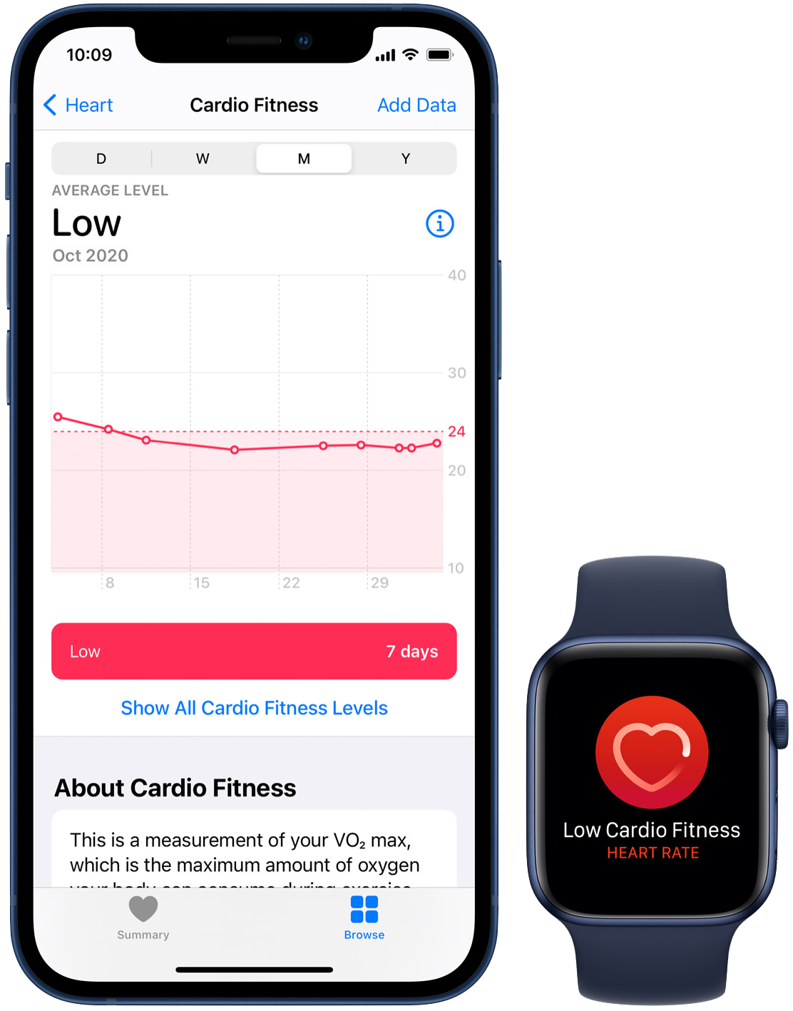 Notifiche sul tono cardiovascolare dell'Apple Watch: come funzionano e a  cosa servono : SPIDER-MAC