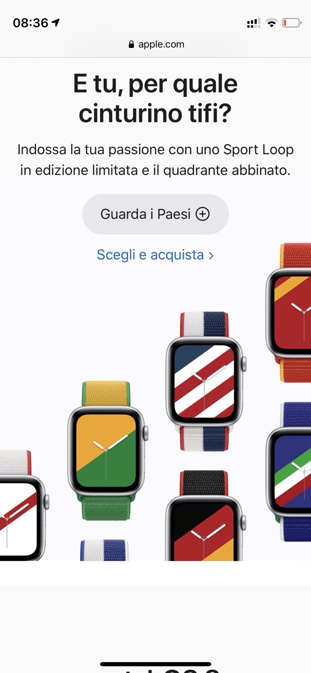 Come scaricare i quadranti “Strisce” dei cinturini collezione  internazionale Apple Watch : SPIDER-MAC
